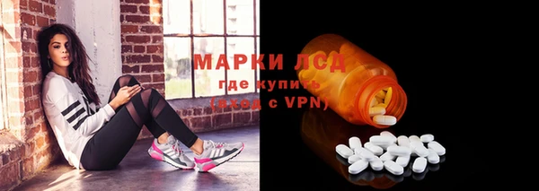 стафф Козельск