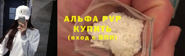 стафф Козельск