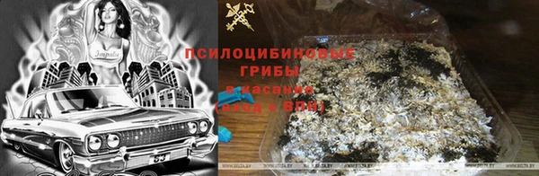 стафф Козельск