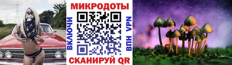 Купить где  Ейск  Псилоцибиновые грибы мухоморы 